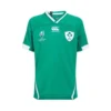 Canterbury CCC Rugby World Cup 19 Ireland IRFU Vapodri+ Home Pro Rugby Shirt Kids Green